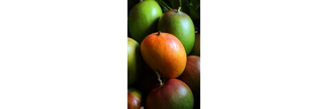 Alphonso Mango