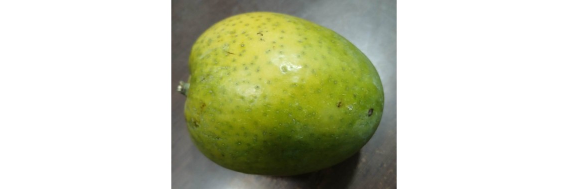 Himayat Pasand Mango