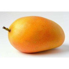 Alphonso Mango